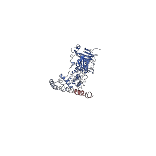 31079_7eep_L_v1-1
Cyanophage Pam1 portal-adaptor complex