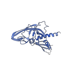 9039_6ee8_A_v1-4
Mycobacterium tuberculosis RNAP promoter unwinding intermediate complex with RbpA/CarD and AP3 promoter