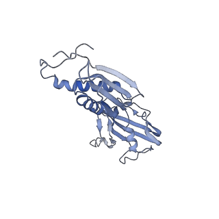 9039_6ee8_B_v1-4
Mycobacterium tuberculosis RNAP promoter unwinding intermediate complex with RbpA/CarD and AP3 promoter