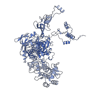 9039_6ee8_C_v1-4
Mycobacterium tuberculosis RNAP promoter unwinding intermediate complex with RbpA/CarD and AP3 promoter