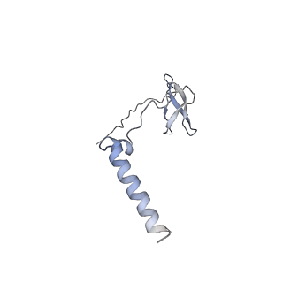 9039_6ee8_J_v1-4
Mycobacterium tuberculosis RNAP promoter unwinding intermediate complex with RbpA/CarD and AP3 promoter