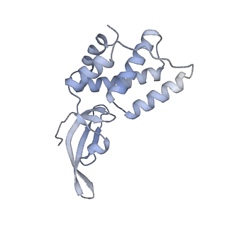 9039_6ee8_M_v1-4
Mycobacterium tuberculosis RNAP promoter unwinding intermediate complex with RbpA/CarD and AP3 promoter