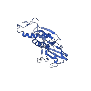 9041_6eec_B_v1-3
Mycobacterium tuberculosis RNAP promoter unwinding intermediate complex with RbpA/CarD and AP3 promoter captured by Corallopyronin