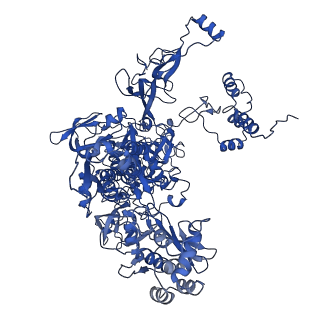 9041_6eec_C_v1-4
Mycobacterium tuberculosis RNAP promoter unwinding intermediate complex with RbpA/CarD and AP3 promoter captured by Corallopyronin