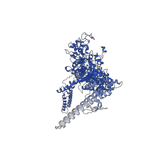 9041_6eec_D_v1-3
Mycobacterium tuberculosis RNAP promoter unwinding intermediate complex with RbpA/CarD and AP3 promoter captured by Corallopyronin