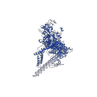 9041_6eec_D_v1-4
Mycobacterium tuberculosis RNAP promoter unwinding intermediate complex with RbpA/CarD and AP3 promoter captured by Corallopyronin