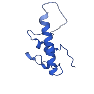 9041_6eec_E_v1-4
Mycobacterium tuberculosis RNAP promoter unwinding intermediate complex with RbpA/CarD and AP3 promoter captured by Corallopyronin