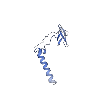 9041_6eec_J_v1-4
Mycobacterium tuberculosis RNAP promoter unwinding intermediate complex with RbpA/CarD and AP3 promoter captured by Corallopyronin