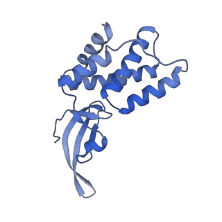 9041_6eec_M_v1-4
Mycobacterium tuberculosis RNAP promoter unwinding intermediate complex with RbpA/CarD and AP3 promoter captured by Corallopyronin