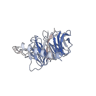 28066_8ef5_B_v1-1
Fentanyl-bound mu-opioid receptor-Gi complex
