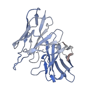 28066_8ef5_E_v1-1
Fentanyl-bound mu-opioid receptor-Gi complex