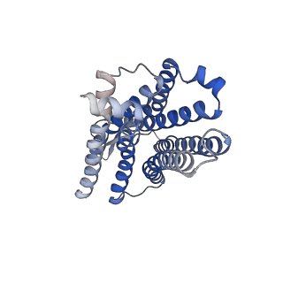 28066_8ef5_R_v1-1
Fentanyl-bound mu-opioid receptor-Gi complex