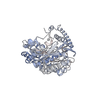28078_8efc_A_v1-2
Structure of Lates calcarifer DNA polymerase theta polymerase domain with long duplex DNA, complex Ia