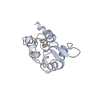 28080_8efd_B_v1-1
Human cardiac myosin II and associated essential light chain in the rigor conformation