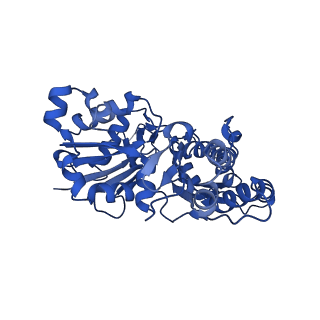 28082_8efh_B_v1-1
Helical reconstruction of the human cardiac actin-tropomyosin-myosin complex in complex with ADP-Mg2+