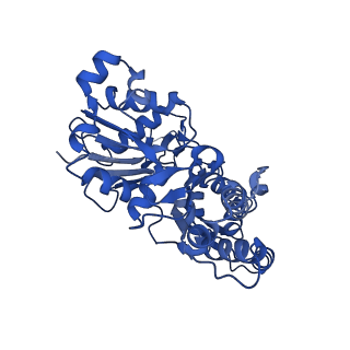 28082_8efh_F_v1-1
Helical reconstruction of the human cardiac actin-tropomyosin-myosin complex in complex with ADP-Mg2+