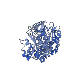28084_8efk_A_v1-2
Structure of Lates calcarifer DNA polymerase theta polymerase domain with hairpin DNA