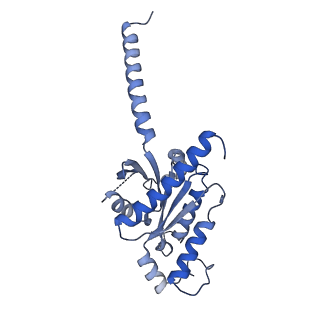 28085_8efl_A_v1-1
SR17018-bound mu-opioid receptor-Gi complex