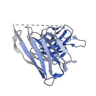28086_8efo_E_v1-1
PZM21-bound mu-opioid receptor-Gi complex