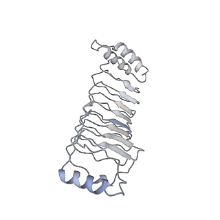 28087_8efp_B_v1-2
CryoEM structure of GSDMB in complex with shigella IpaH7.8