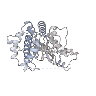 28087_8efp_C_v1-2
CryoEM structure of GSDMB in complex with shigella IpaH7.8