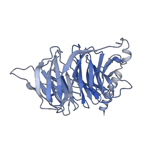 28088_8efq_B_v1-1
DAMGO-bound mu-opioid receptor-Gi complex