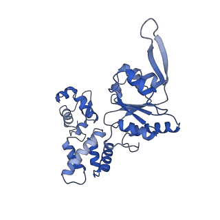 28101_8efv_A_v1-0
Structure of single homo-hexameric Holliday junction ATP-dependent DNA helicase RuvB motor