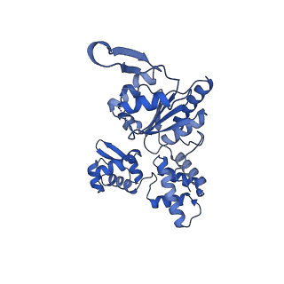28101_8efv_B_v1-0
Structure of single homo-hexameric Holliday junction ATP-dependent DNA helicase RuvB motor