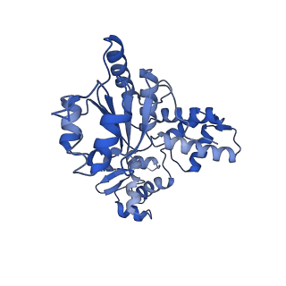 28101_8efv_C_v1-0
Structure of single homo-hexameric Holliday junction ATP-dependent DNA helicase RuvB motor