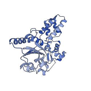 28101_8efv_D_v1-0
Structure of single homo-hexameric Holliday junction ATP-dependent DNA helicase RuvB motor