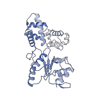 28101_8efv_E_v1-0
Structure of single homo-hexameric Holliday junction ATP-dependent DNA helicase RuvB motor