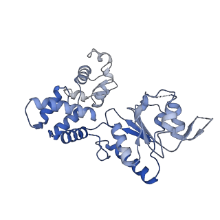 28101_8efv_F_v1-0
Structure of single homo-hexameric Holliday junction ATP-dependent DNA helicase RuvB motor