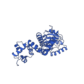 28107_8efy_A_v1-0
Structure of double homo-hexameric AAA+ ATPase RuvB motors