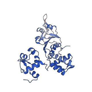 28107_8efy_B_v1-0
Structure of double homo-hexameric AAA+ ATPase RuvB motors