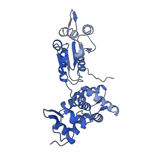 28107_8efy_C_v1-0
Structure of double homo-hexameric AAA+ ATPase RuvB motors