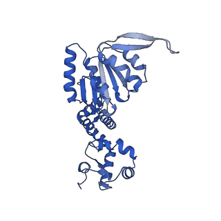 28107_8efy_D_v1-0
Structure of double homo-hexameric AAA+ ATPase RuvB motors