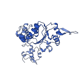 28107_8efy_E_v1-0
Structure of double homo-hexameric AAA+ ATPase RuvB motors