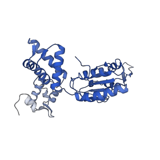 28107_8efy_F_v1-0
Structure of double homo-hexameric AAA+ ATPase RuvB motors