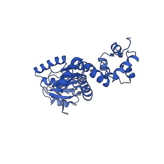 28107_8efy_I_v1-0
Structure of double homo-hexameric AAA+ ATPase RuvB motors
