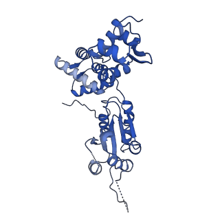 28107_8efy_K_v1-0
Structure of double homo-hexameric AAA+ ATPase RuvB motors