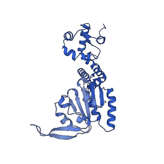 28107_8efy_L_v1-0
Structure of double homo-hexameric AAA+ ATPase RuvB motors