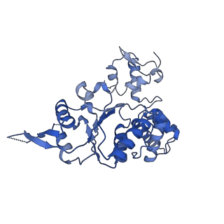 28107_8efy_M_v1-0
Structure of double homo-hexameric AAA+ ATPase RuvB motors