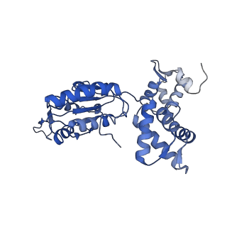 28107_8efy_N_v1-0
Structure of double homo-hexameric AAA+ ATPase RuvB motors