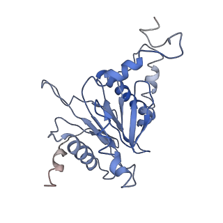9042_6ef0_A_v1-3
Yeast 26S proteasome bound to ubiquitinated substrate (1D* motor state)