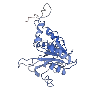 9042_6ef0_B_v1-3
Yeast 26S proteasome bound to ubiquitinated substrate (1D* motor state)