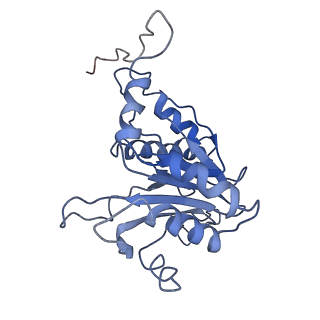 9042_6ef0_B_v1-4
Yeast 26S proteasome bound to ubiquitinated substrate (1D* motor state)