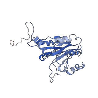 9042_6ef0_C_v1-3
Yeast 26S proteasome bound to ubiquitinated substrate (1D* motor state)