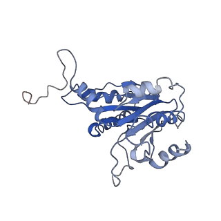 9042_6ef0_C_v1-4
Yeast 26S proteasome bound to ubiquitinated substrate (1D* motor state)