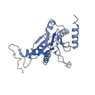 9042_6ef0_D_v1-3
Yeast 26S proteasome bound to ubiquitinated substrate (1D* motor state)