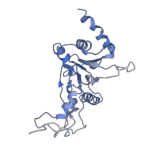 9042_6ef0_E_v1-3
Yeast 26S proteasome bound to ubiquitinated substrate (1D* motor state)